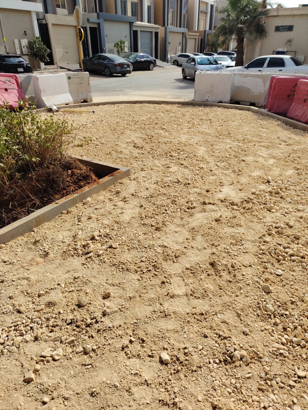 WhatsApp Image 2025-12-11 at 7.19.05 PM