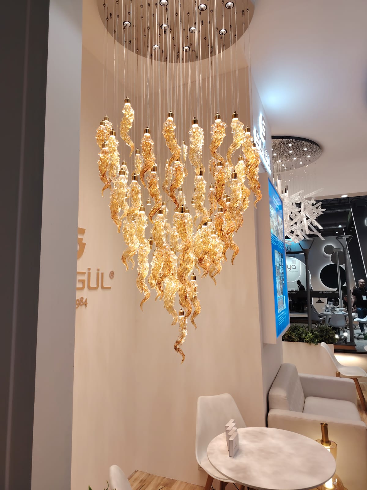 WhatsApp Image 2025-12-11 at 7.19.12 PM (2)