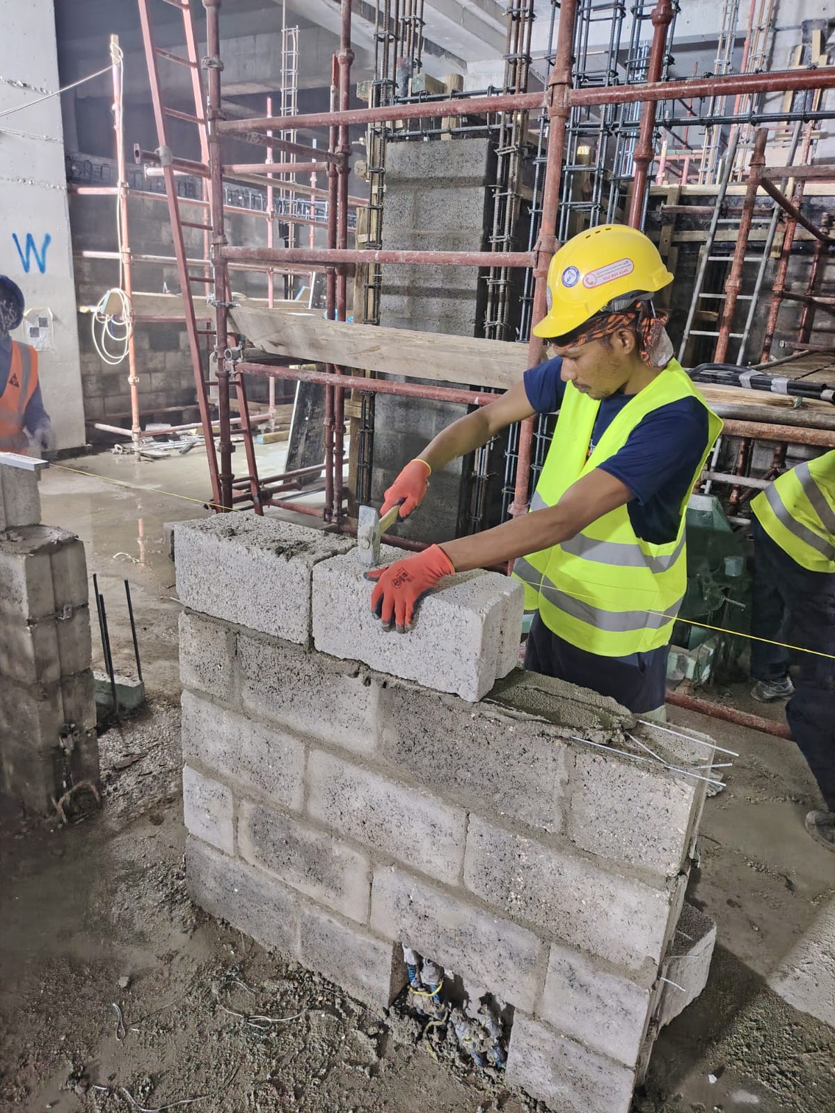 WhatsApp Image 2025-12-11 at 7.19.15 PM (1)